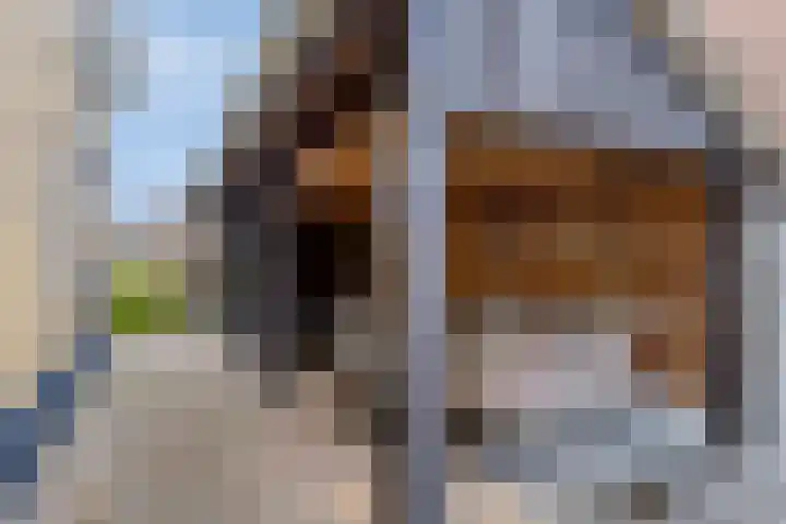 Gruttostraat 15 a Goor thumbnail 31