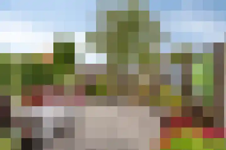 Gruttostraat 15 a Goor thumbnail 34