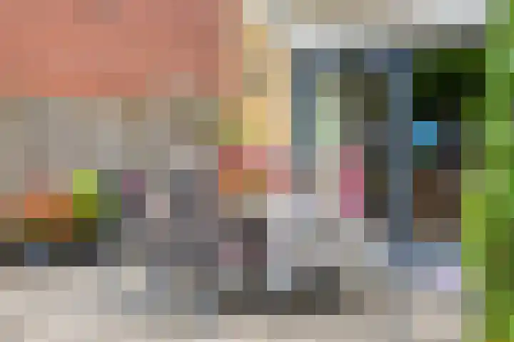 Gruttostraat 15 a Goor thumbnail 36