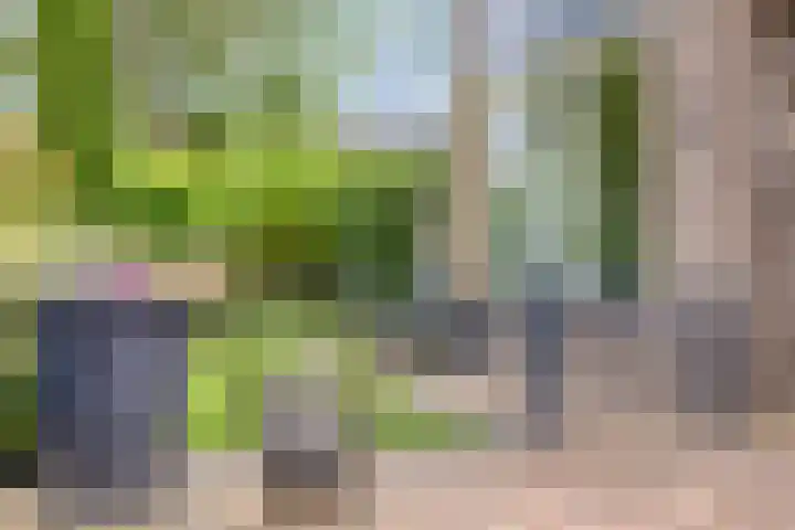 Gruttostraat 15 a Goor thumbnail 39