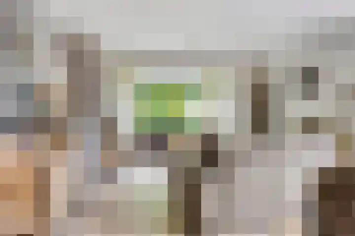Gruttostraat 15 a Goor thumbnail 4