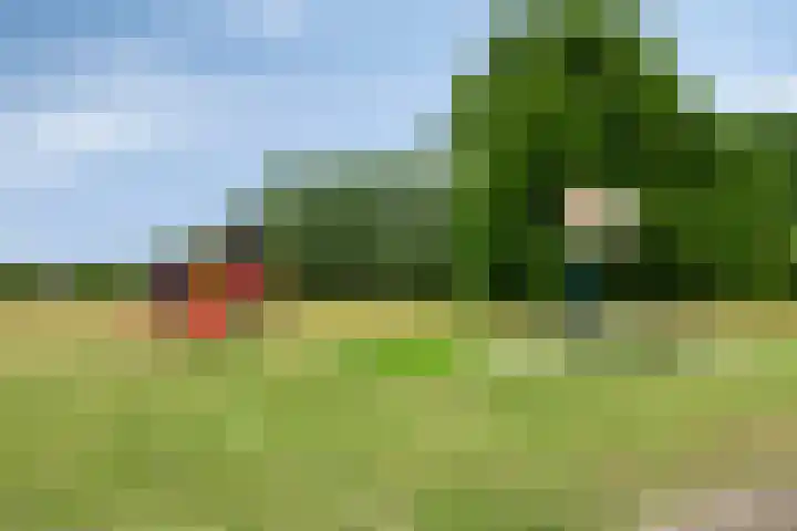 Gruttostraat 15 a Goor thumbnail 42