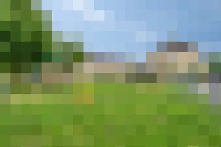 Gruttostraat 15 a Goor thumbnail 43
