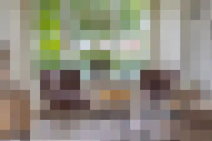 Gruttostraat 15 a Goor thumbnail 6