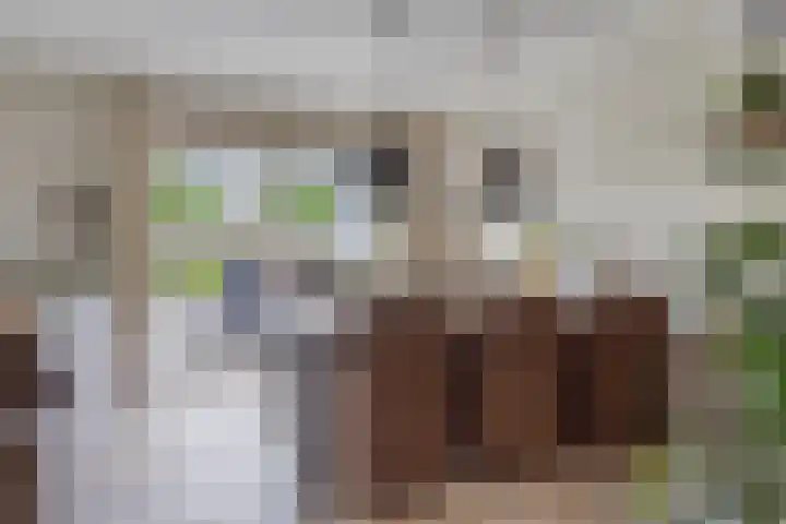 Gruttostraat 15 a Goor thumbnail 7