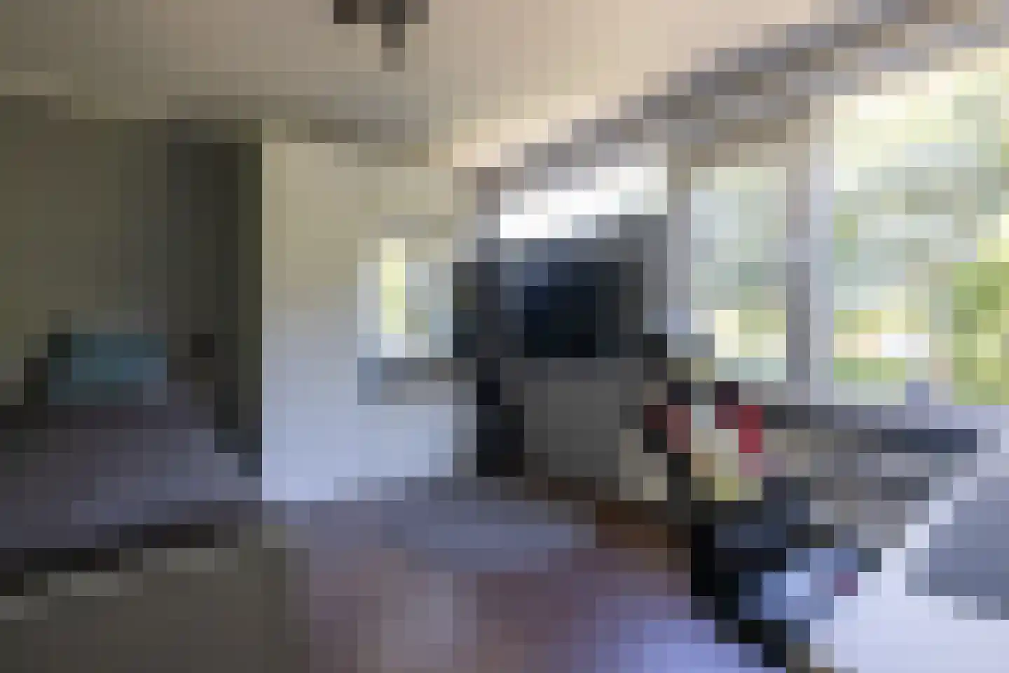 Gruttostraat 15 Bleiswijk thumbnail 17