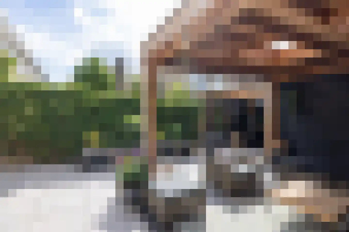Gruttostraat 15 Bleiswijk thumbnail 31