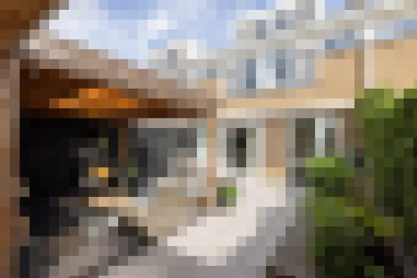Gruttostraat 15 Bleiswijk thumbnail 34
