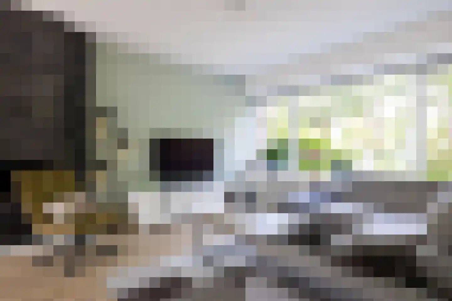 Gruttostraat 15 Bleiswijk thumbnail 4