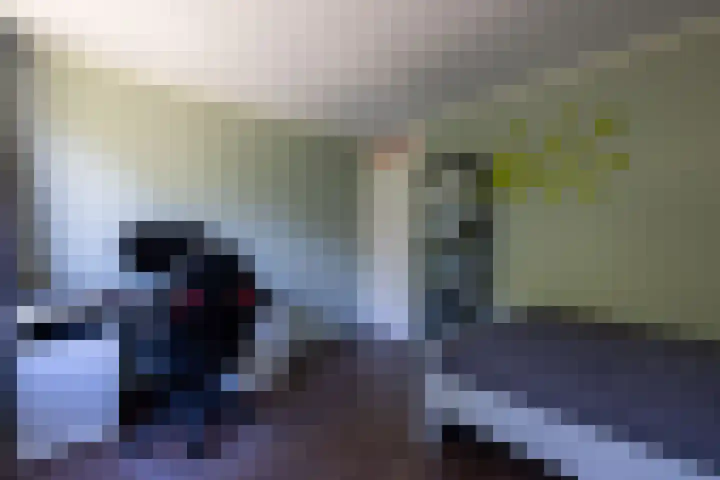 Gruttostraat 15 Bleiswijk thumbnail 42