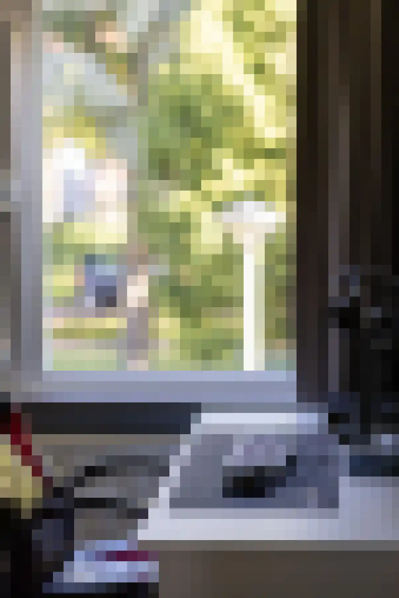 Gruttostraat 15 Bleiswijk thumbnail 44