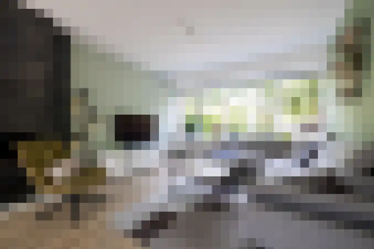 Gruttostraat 15 Bleiswijk thumbnail 5