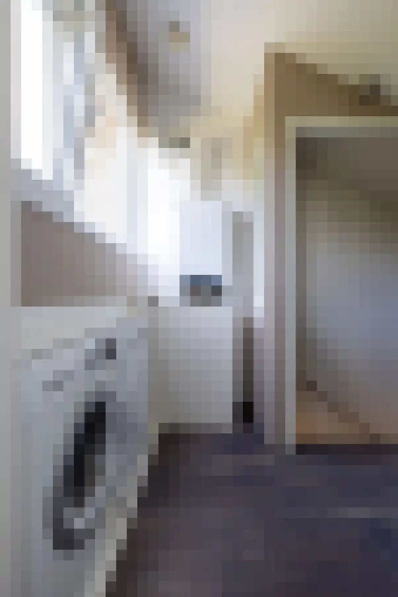 Gruttostraat 15 Bleiswijk thumbnail 68