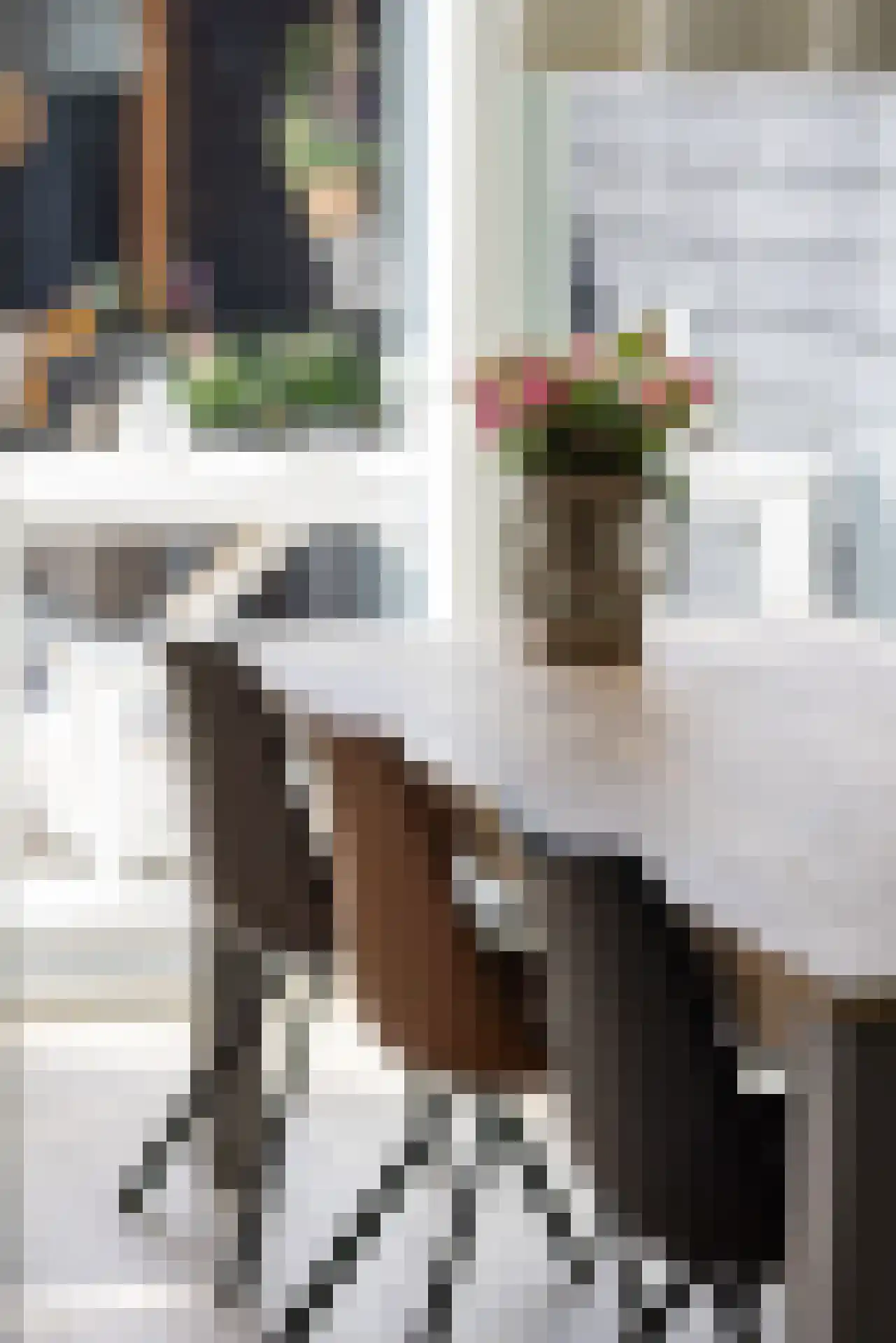 Gruttostraat 15 Bleiswijk thumbnail 7