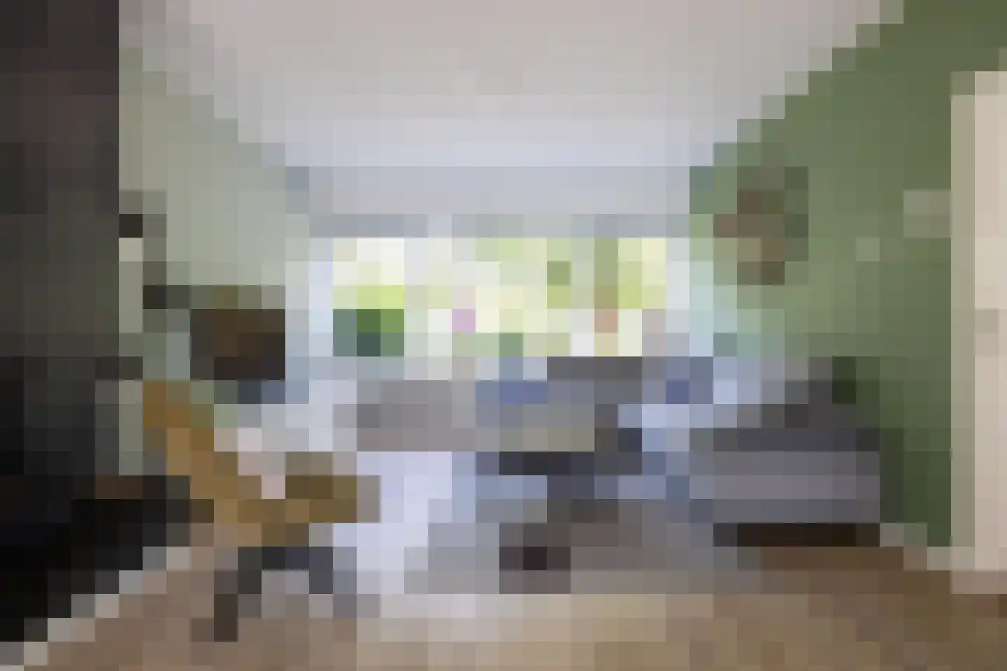 Gruttostraat 15 Bleiswijk thumbnail 73
