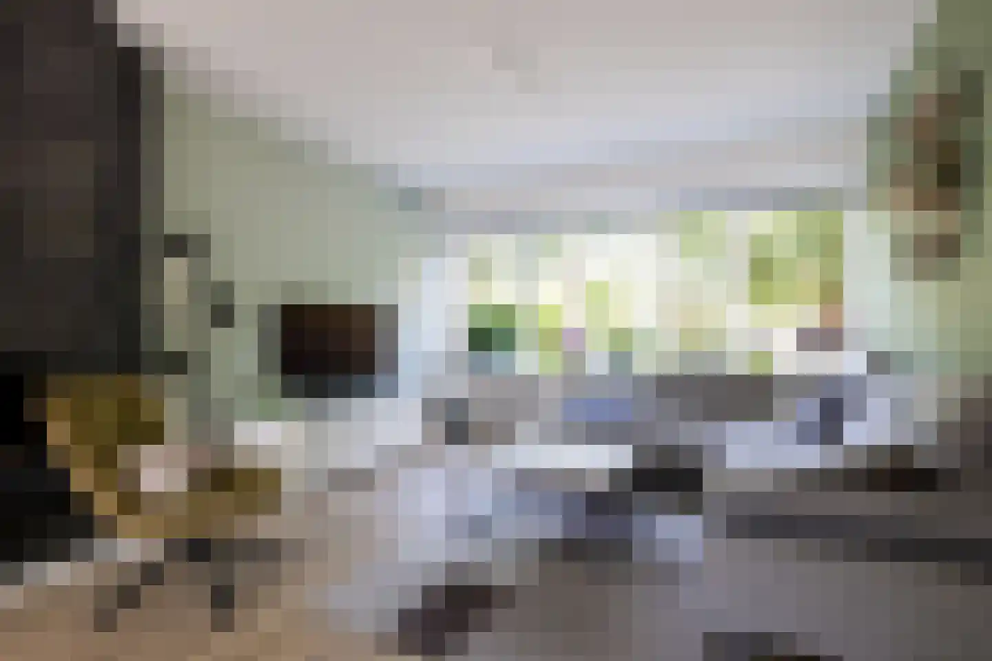 Gruttostraat 15 Bleiswijk thumbnail 74
