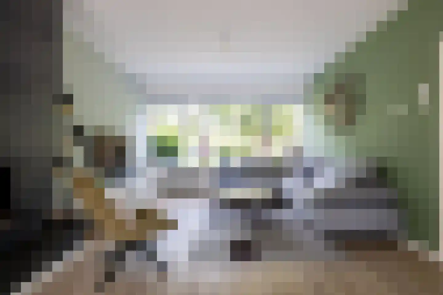Gruttostraat 15 Bleiswijk thumbnail 77