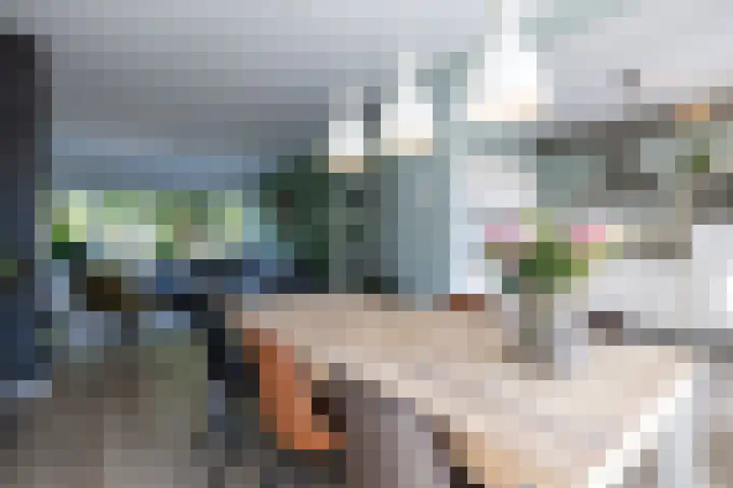 Gruttostraat 15 Bleiswijk thumbnail 8