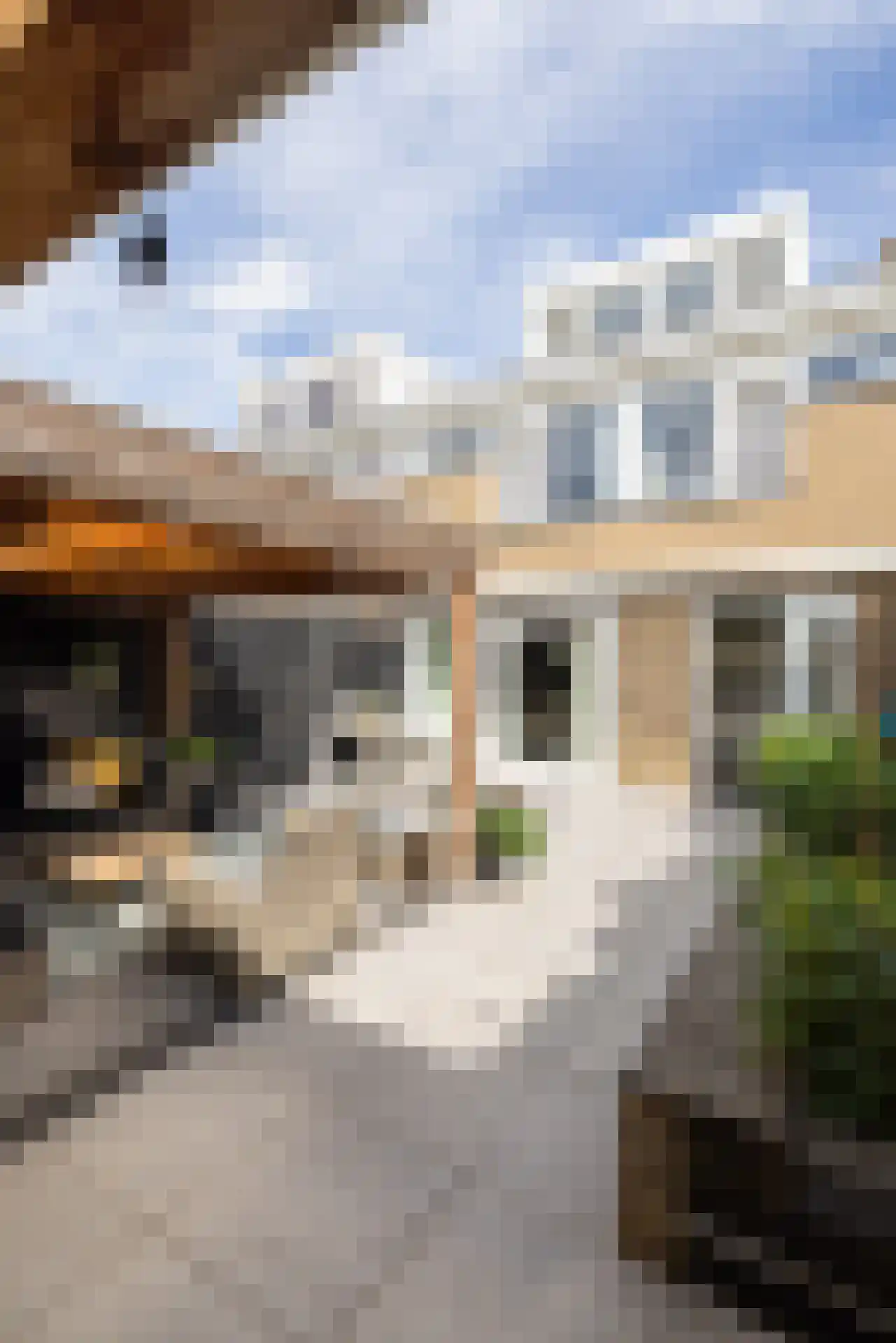 Gruttostraat 15 Bleiswijk thumbnail 90