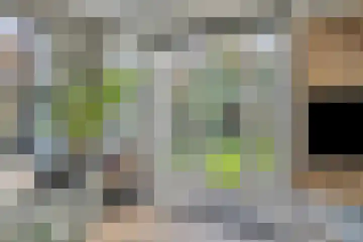 Gruttostraat 15 Odiliapeel thumbnail 9
