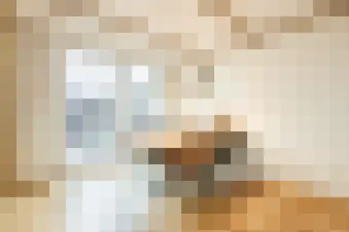 Gruttostraat 15 Ruinerwold thumbnail 10