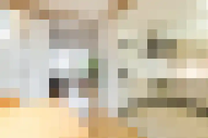 Gruttostraat 15 Ruinerwold thumbnail 11