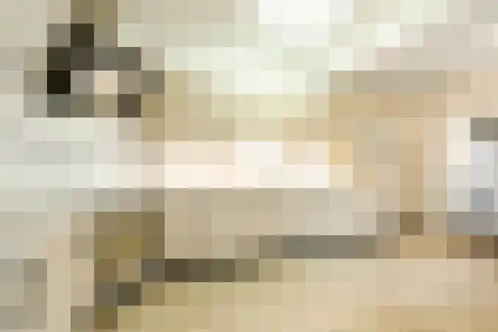 Gruttostraat 15 Ruinerwold thumbnail 12