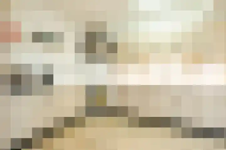 Gruttostraat 15 Ruinerwold thumbnail 13