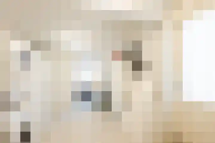 Gruttostraat 15 Ruinerwold thumbnail 16