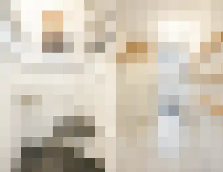 Gruttostraat 15 Ruinerwold thumbnail 23