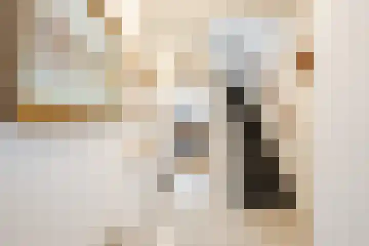 Gruttostraat 15 Ruinerwold thumbnail 24