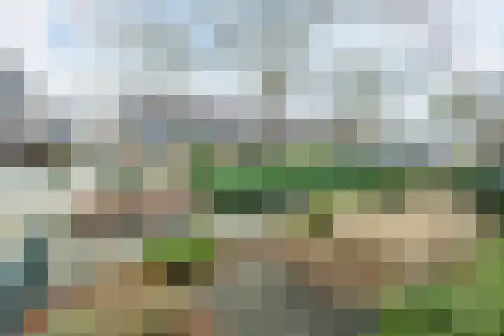 Gruttostraat 15 Ruinerwold thumbnail 4