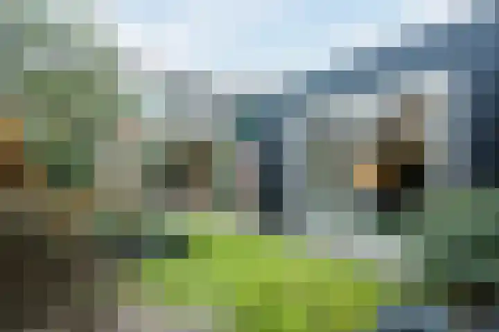 Gruttostraat 15 Ruinerwold thumbnail 41