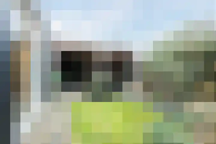 Gruttostraat 15 Ruinerwold thumbnail 43