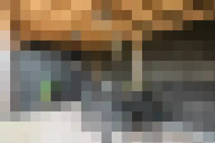 Gruttostraat 15 Ruinerwold thumbnail 45