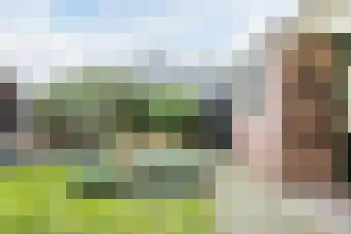 Gruttostraat 15 Ruinerwold thumbnail 46