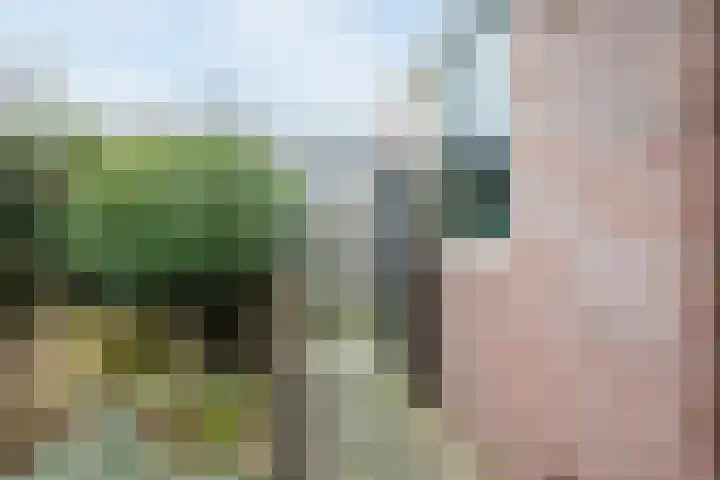 Gruttostraat 15 Ruinerwold thumbnail 48