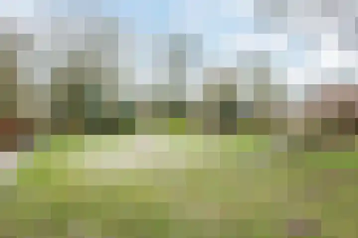 Gruttostraat 15 Ruinerwold thumbnail 54
