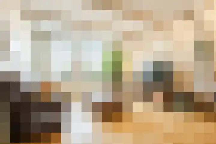 Gruttostraat 15 Ruinerwold thumbnail 6