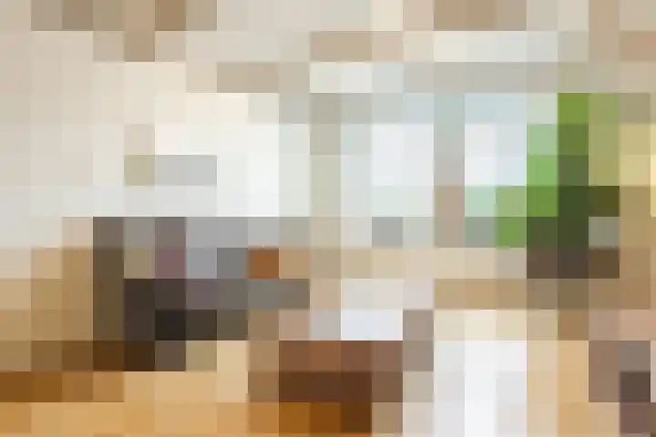 Gruttostraat 15 Ruinerwold thumbnail 7