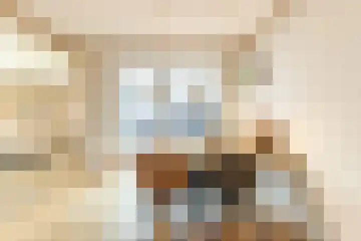 Gruttostraat 15 Ruinerwold thumbnail 9