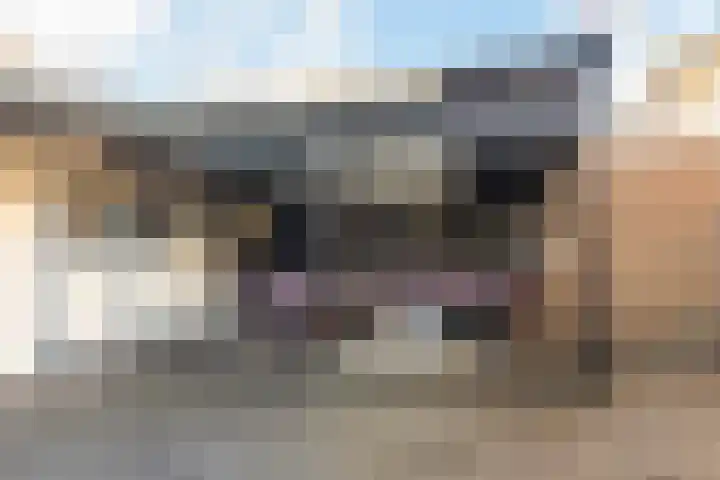 Gruttostraat 16 Kollum thumbnail 31