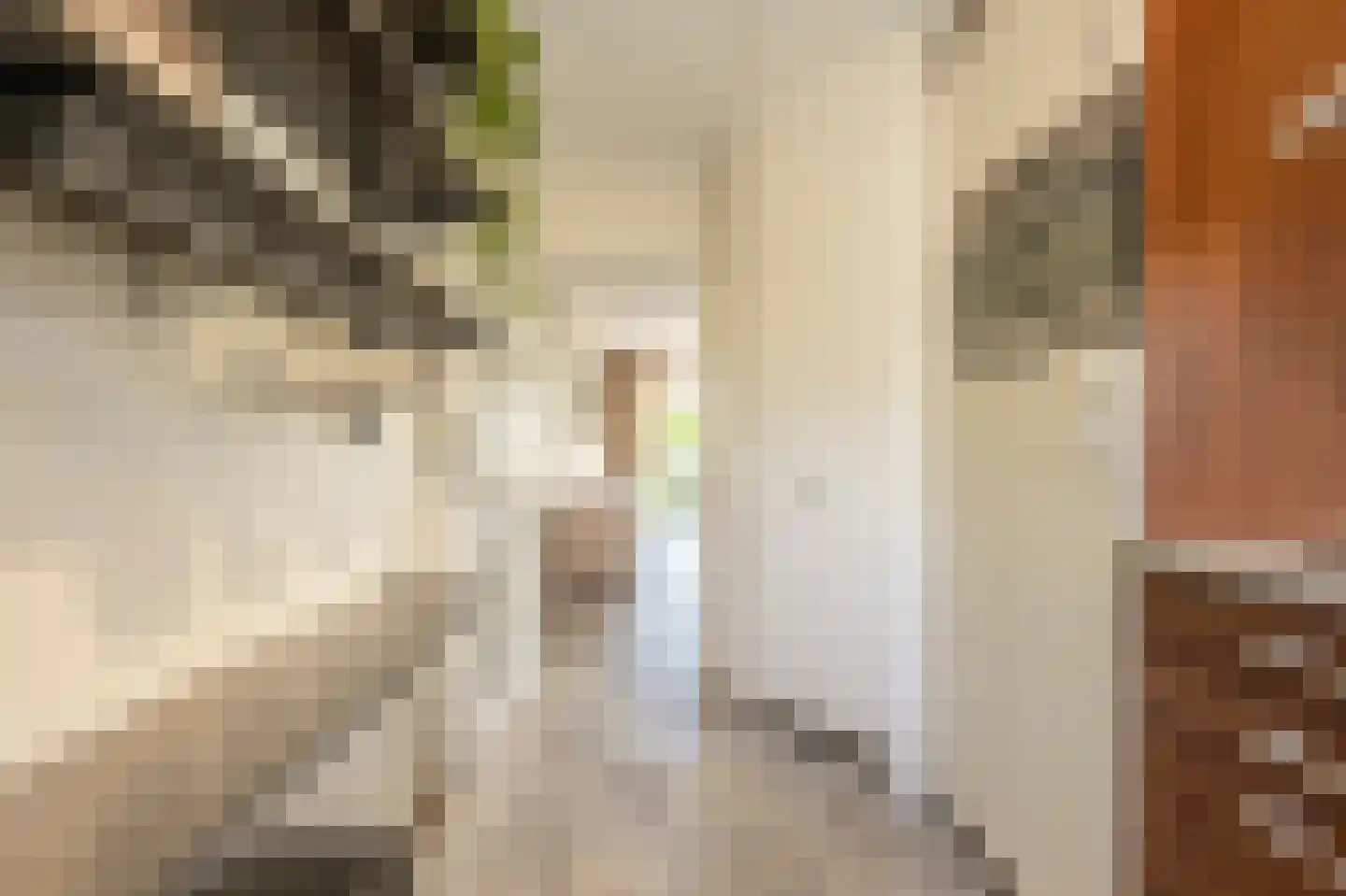 Gruttostraat 17 Numansdorp thumbnail 15