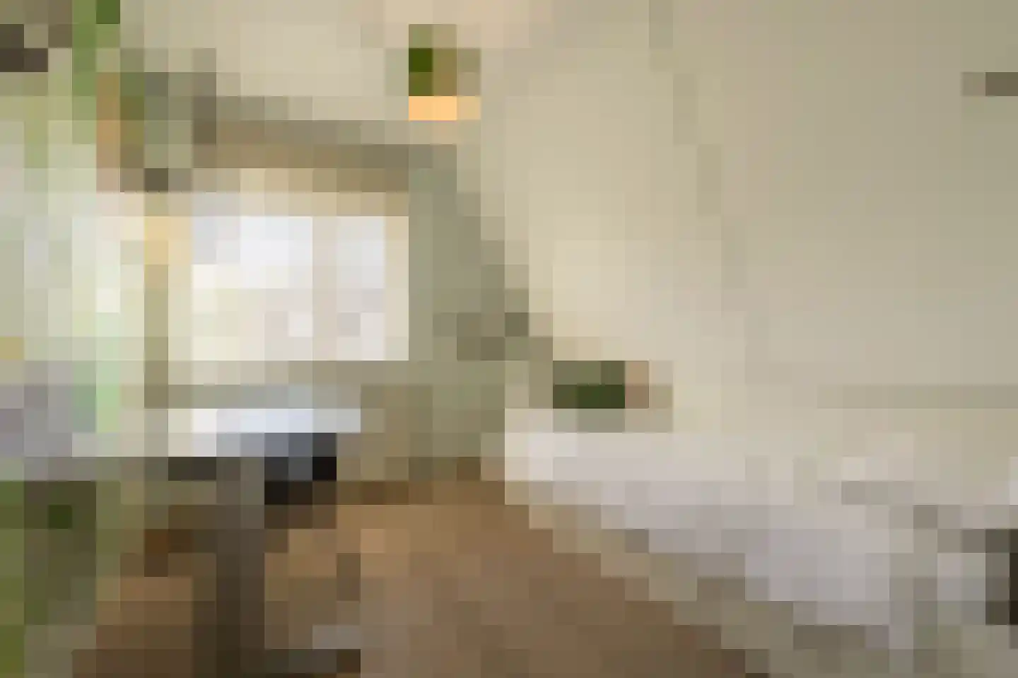 Gruttostraat 17 Numansdorp thumbnail 26