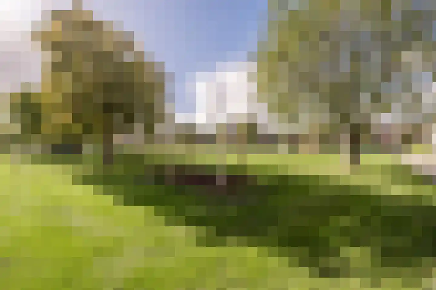 Gruttostraat 17 Numansdorp thumbnail 32