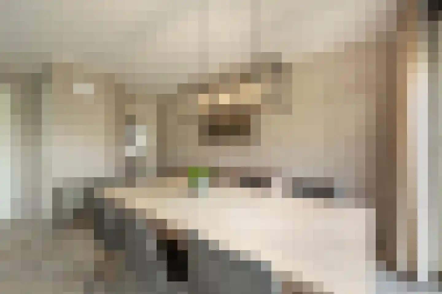 Gruttostraat 17 Numansdorp thumbnail 9