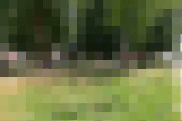 Gruttostraat 18 Velp thumbnail 10