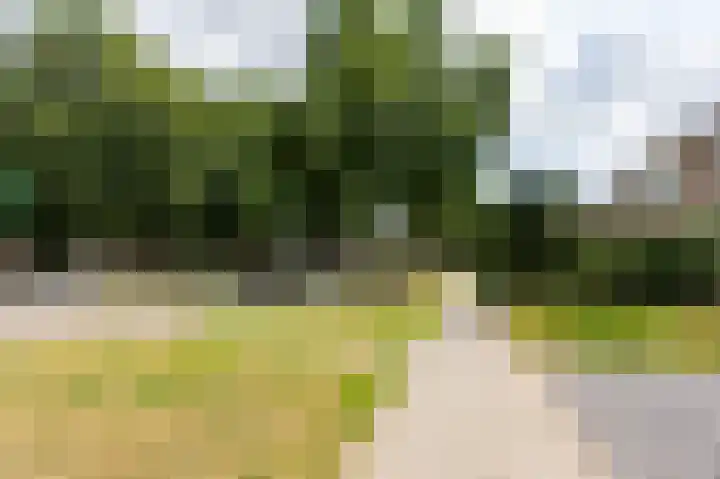 Gruttostraat 18 Velp thumbnail 13