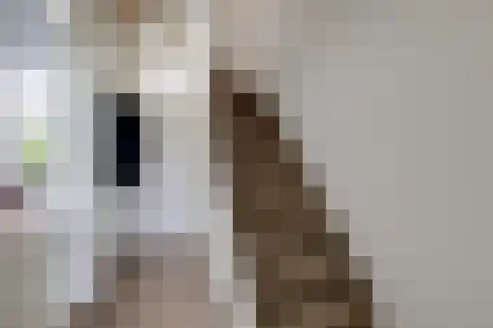 Gruttostraat 18 Velp thumbnail 19