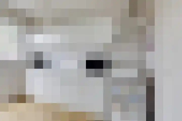 Gruttostraat 18 Velp thumbnail 28